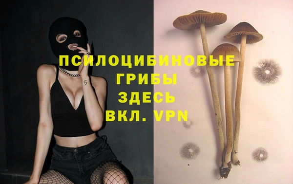 а пвп мука Алзамай