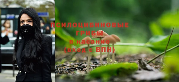 гашик Арсеньев