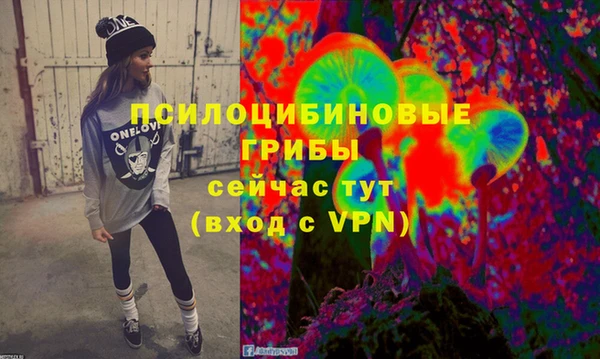 дживик Покачи