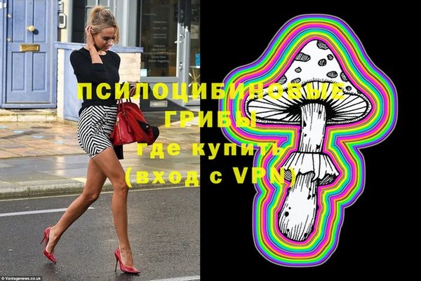 хмурый Алексин