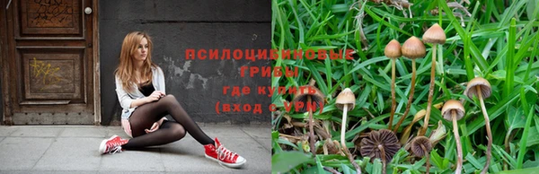 а пвп мука Алзамай