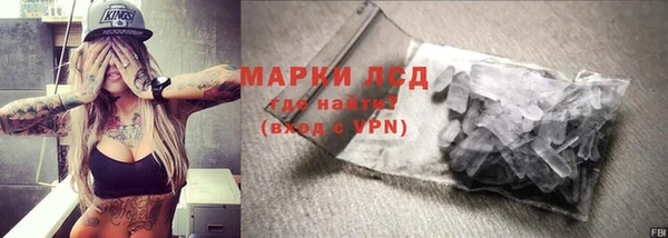 гашик Арсеньев