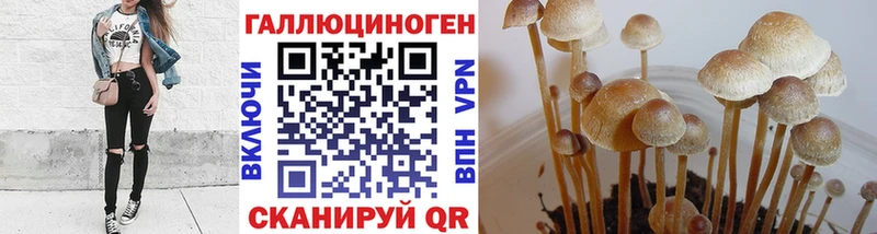 Галлюциногенные грибы мухоморы  цена наркотик  Михайловск 