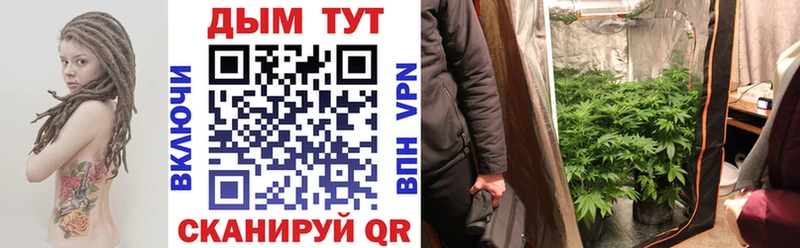 omg вход  Михайловск  Марихуана SATIVA & INDICA  магазин  наркотиков 